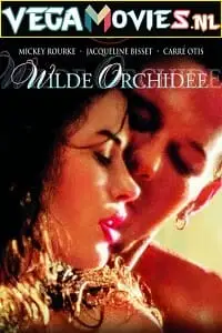 18 wild orchid 1989 , vegamovies3 - vegamovies3.moviesmod.bio