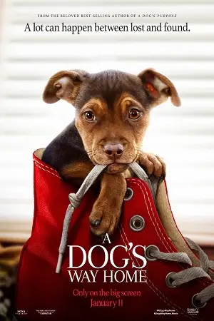 a dog s way home 2019 , vegamovies3 - vegamovies3.moviesmod.bio