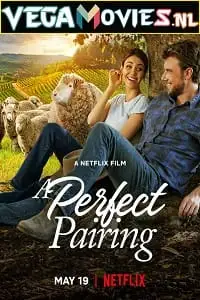 a perfect pairing 2022 , vegamovies3 - vegamovies3.moviesmod.bio