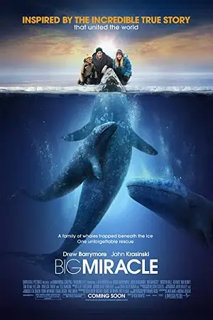 big miracle 2012 , vegamovies3 - vegamovies3.moviesmod.bio