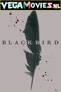black bird 2022 , vegamovies3 - vegamovies3.moviesmod.bio