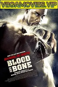 blood and bone 2009 , vegamovies3 - vegamovies3.moviesmod.bio