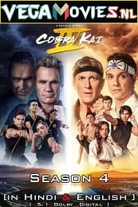 cobra kai netflix original 2021 , vegamovies3 - vegamovies3.moviesmod.bio