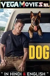 dog 2022 , vegamovies3 - vegamovies3.moviesmod.bio