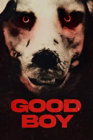 good boy 2022 , vegamovies3 - vegamovies3.moviesmod.bio