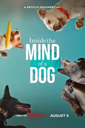 inside the mind of a dog 2024 , vegamovies3 - vegamovies3.moviesmod.bio