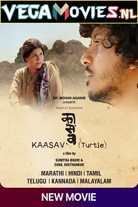 kaasav turtle 2017 , vegamovies3 - vegamovies3.moviesmod.bio
