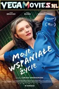 my wonderful life 2022 , vegamovies3 - vegamovies3.moviesmod.bio