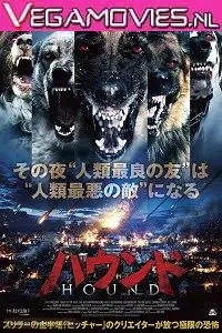 night of the wild 2015 , vegamovies3 - vegamovies3.moviesmod.bio