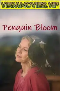 penguin bloom 2020 , vegamovies3 - vegamovies3.moviesmod.bio