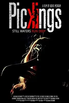 pickings 2018 , vegamovies3 - vegamovies3.moviesmod.bio