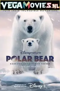 polar bear 2022 , vegamovies3 - vegamovies3.moviesmod.bio