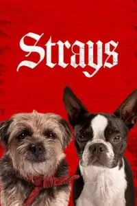 strays 2023 , vegamovies3 - vegamovies3.moviesmod.bio