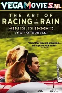 the art of racing in the rain 2019 , vegamovies3 - vegamovies3.moviesmod.bio