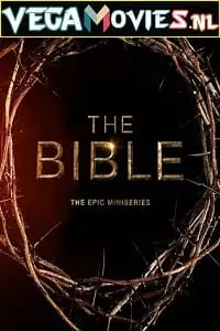 the bible 2013 , vegamovies3 - vegamovies3.moviesmod.bio