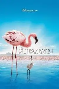 the crimson wing 2008 , vegamovies3 - vegamovies3.moviesmod.bio