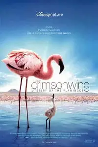 the crimson wing mystery of the flamingos 2008 , vegamovies3 - vegamovies3.moviesmod.bio