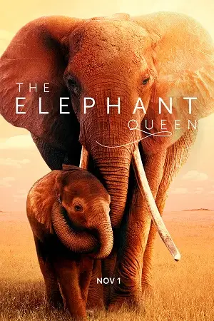 the elephant queen 2019 , vegamovies3 - vegamovies3.moviesmod.bio