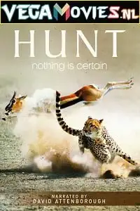 the hunt 2015 , vegamovies3 - vegamovies3.moviesmod.bio