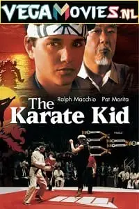 the karate kid 1984 , vegamovies3 - vegamovies3.moviesmod.bio