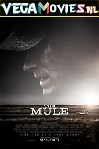 the mule 2018 , vegamovies3 - vegamovies3.moviesmod.bio