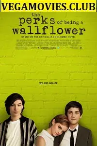 the perks of being a wallflower 2012 , vegamovies3 - vegamovies3.moviesmod.bio