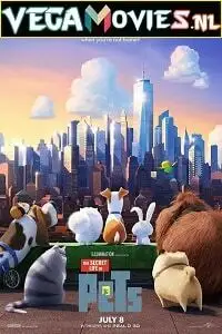 the secret life of pets 2016 , vegamovies3 - vegamovies3.moviesmod.bio