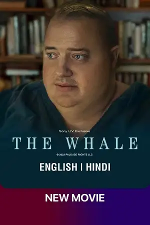 the whale 2022 , vegamovies3 - vegamovies3.moviesmod.bio