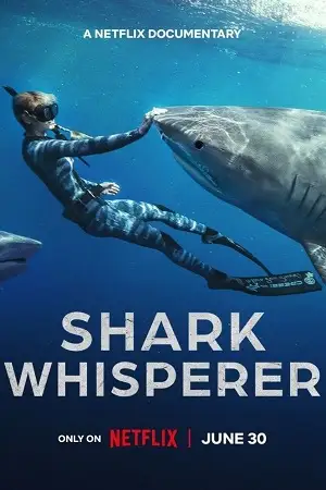 shark whisperer 2025 , vegamovies3 - vegamovies3.gay